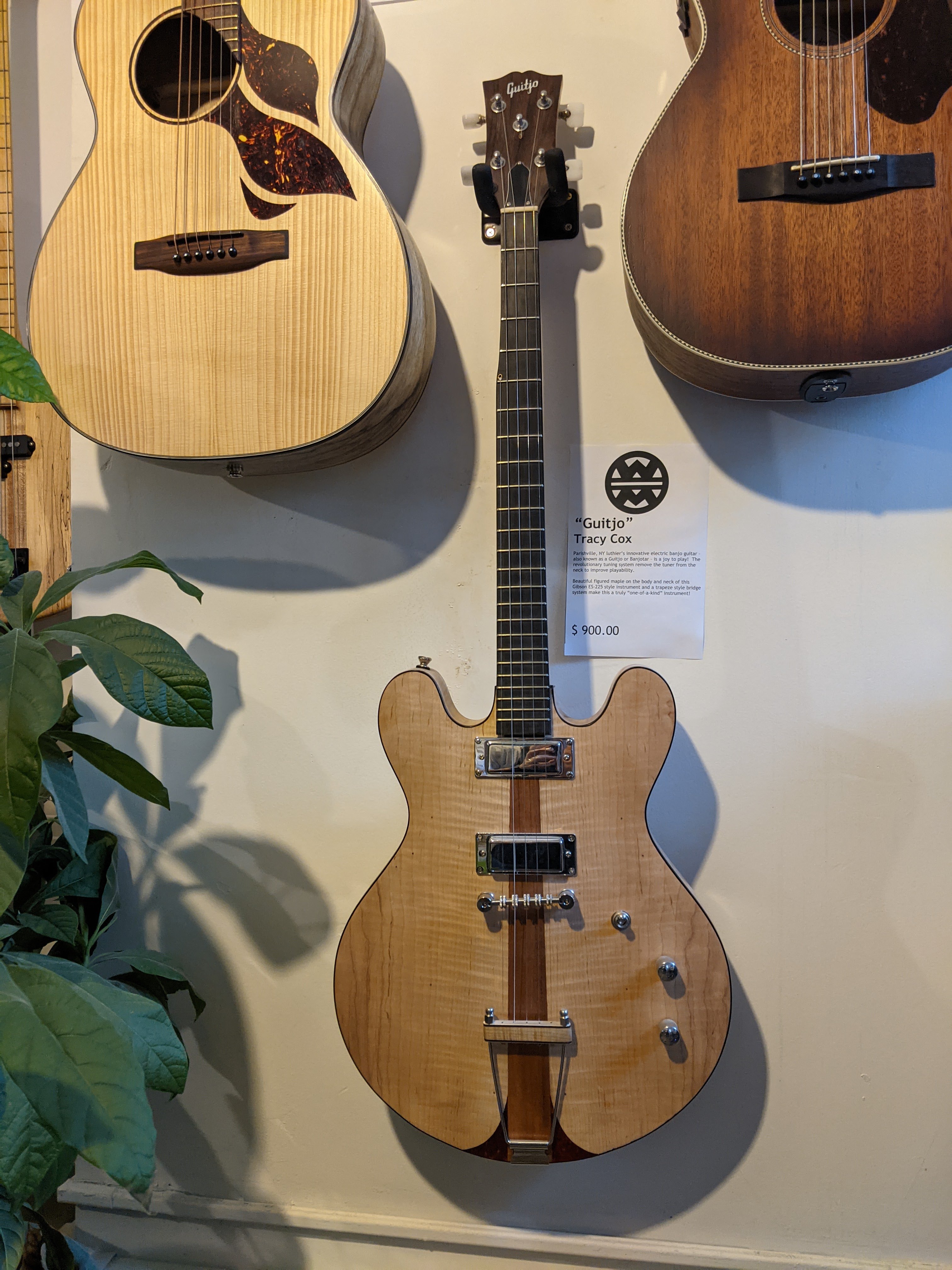 WindwardMusic.Guitjo