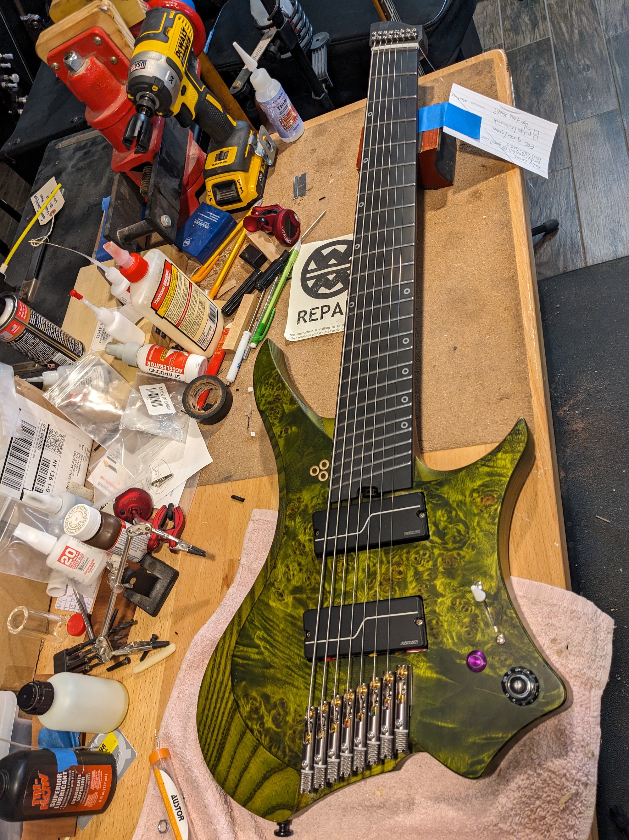 PXL_20240201_000748739